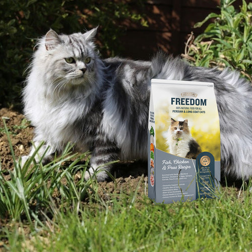 FREEDOM CAT PERSIAN DRY FOOD - Animeal