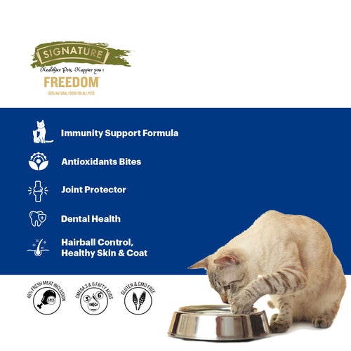 FREEDOM CAT PERSIAN DRY FOOD - Animeal