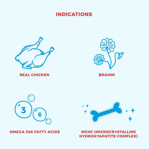 FREOSSI SNACKY CHICKEN FLAVOR [500GM] - Animeal