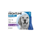 FRONTLINE PLUS (20KG-40KG) DOG SPOT ON