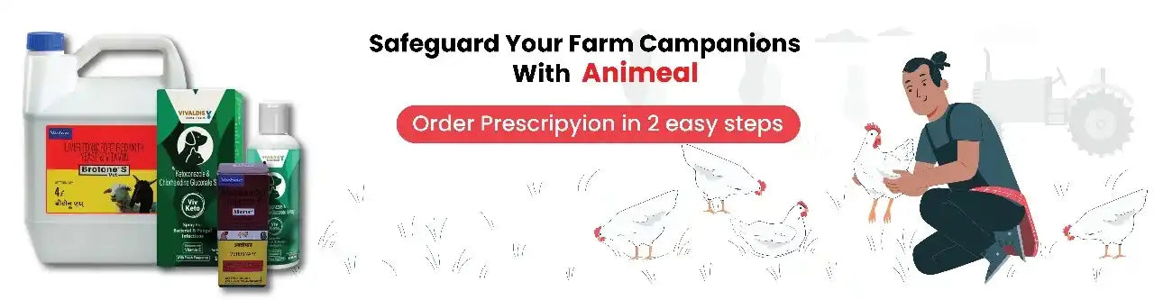 Farm Animal Medicine Collection - Save 12% on Essential Care | Animeal