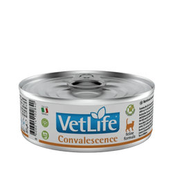 Farmina Vet Life Convalescence Wet Cat Food, 85g Can - Animeal