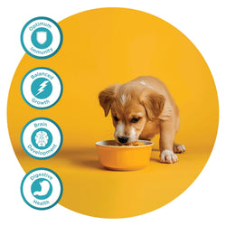 Fidele Plus Starter Puppy Dry Dog Food, 3kg - Animeal