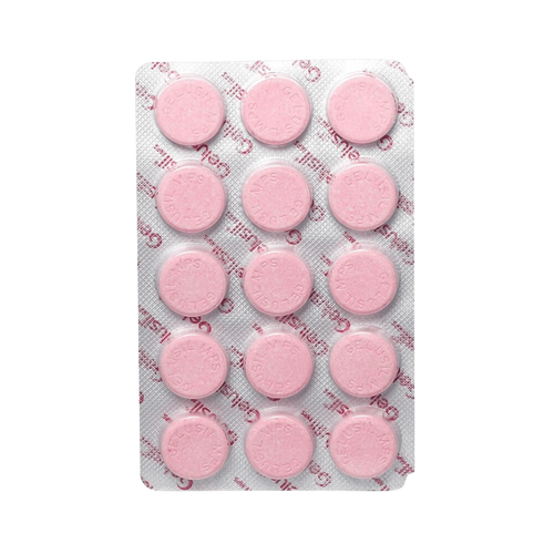 GELUSIL MPS 250MG - Animeal