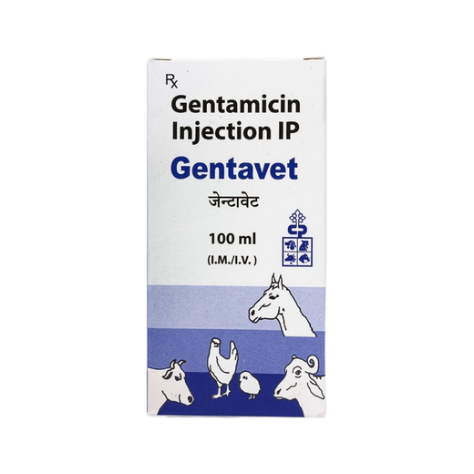 Animeal