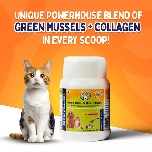 GOOD LICKS JOINT SKIN AND COAT PROTECT FOR CATS (30 GRAMS) - Animeal