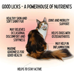 GOOD LICKS JOINT SKIN AND COAT PROTECT FOR CATS (30 GRAMS) - Animeal