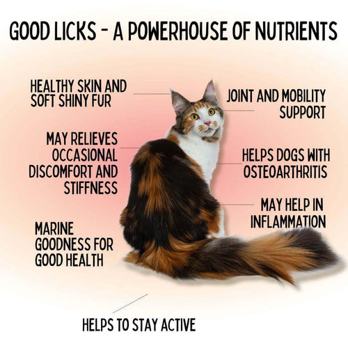GOOD LICKS JOINT SKIN AND COAT PROTECT FOR CATS (30 GRAMS) - Animeal