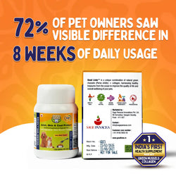 GOOD LICKS JOINT SKIN AND COAT PROTECT FOR CATS (30 GRAMS) - Animeal