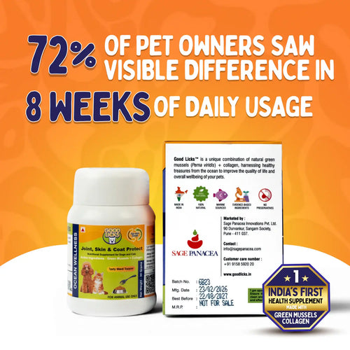 GOOD LICKS JOINT SKIN AND COAT PROTECT FOR CATS (30 GRAMS) - Animeal
