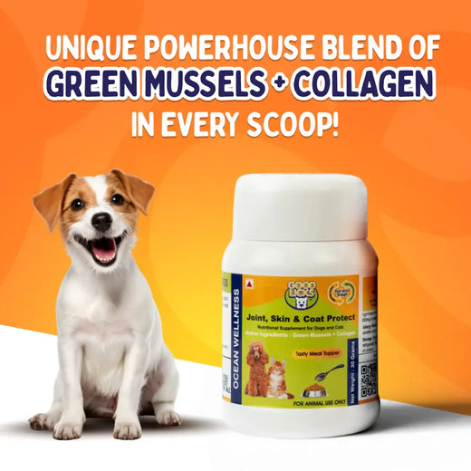 Animeal