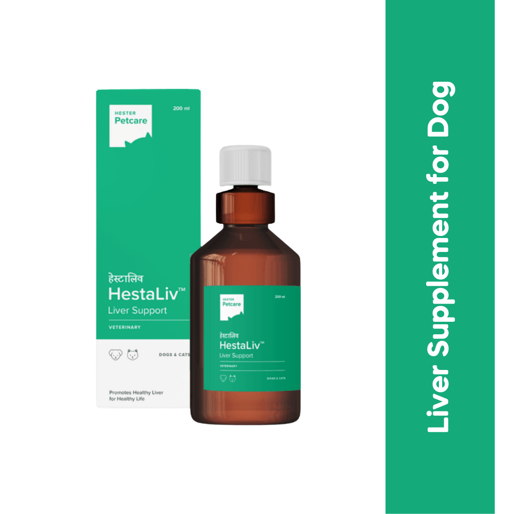 HESTALIV SYRUP - Animeal