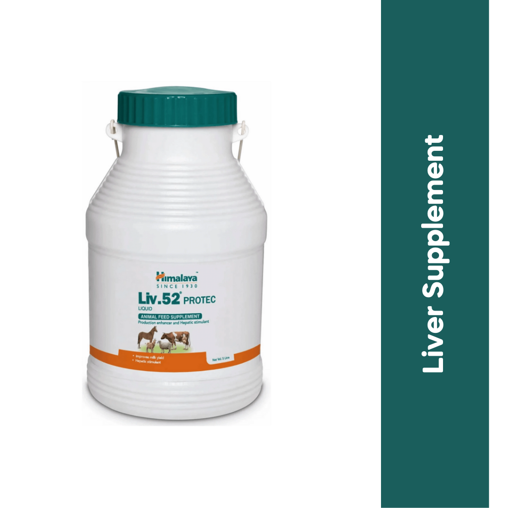 Himalaya Liv-52 Protec Liquid, 5 Litres - Animeal