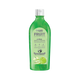 LOZALO APPLE SHAMPOO (M)
