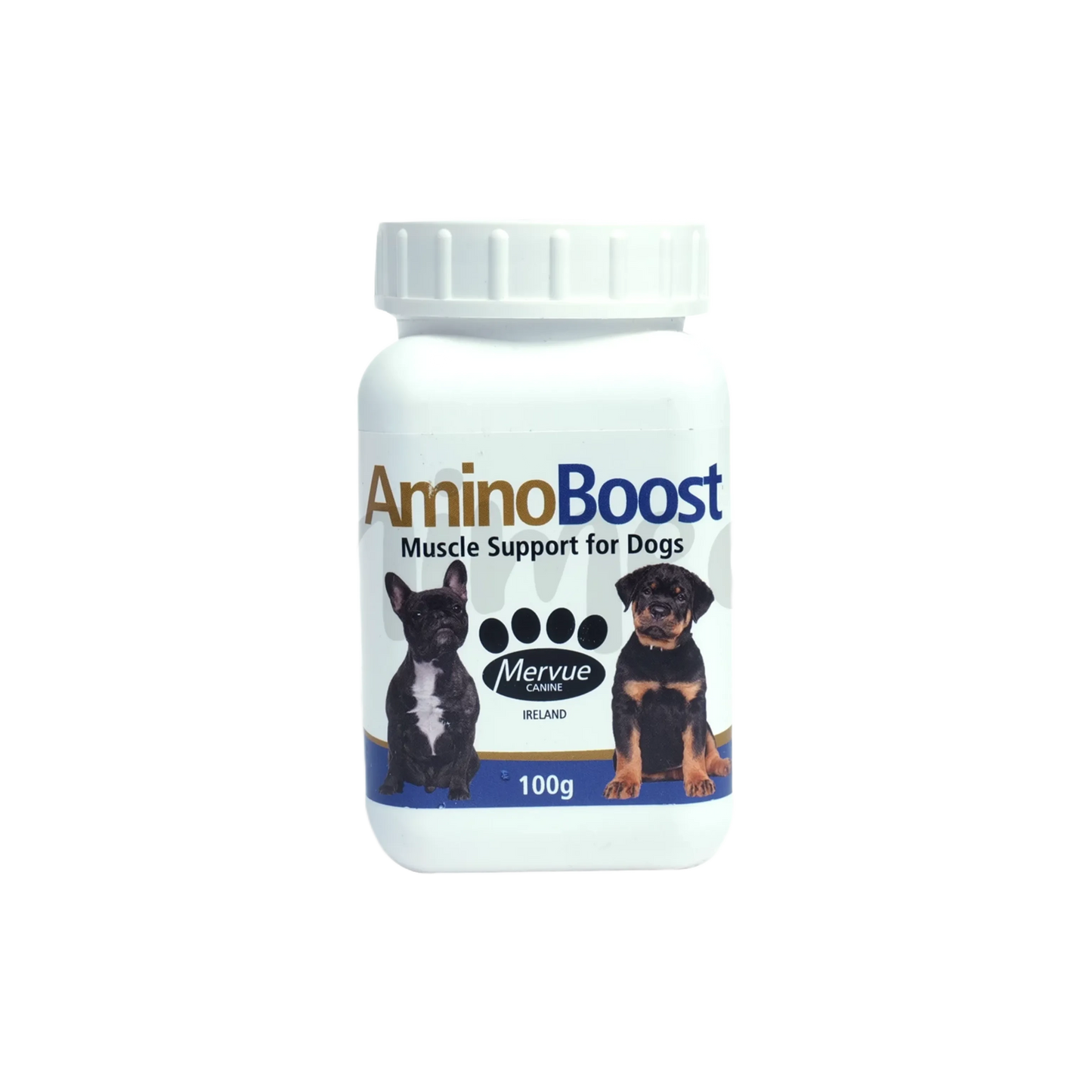 AMINO BOOST POWDER (S) 100GM