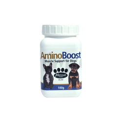 AMINO BOOST POWDER (S) 100GM