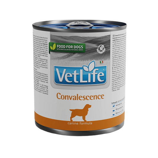 VETLIFE CONVALESCENCE DOG CAN FOOD 300GM