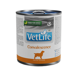 VETLIFE CONVALESCENCE DOG CAN FOOD 300GM