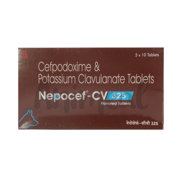 NEPOCEF-CV 325MG TABLET - Animeal