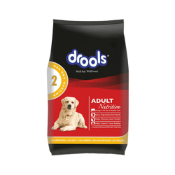 DROOLS ADULT CHIC & EGG DRY FOOD (XXL) - Animeal