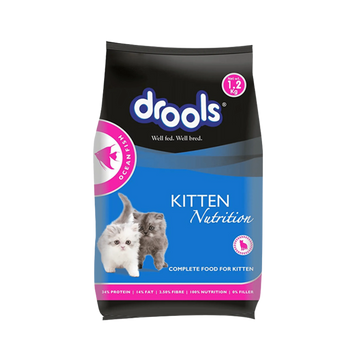 DROOLS CAT OCEAN FISH DRY FOOD (S) - Animeal