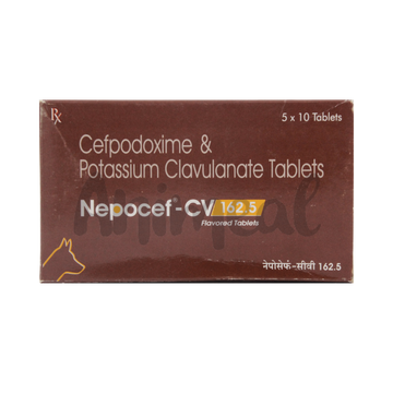 NEPOCEF-CV 162.5MG TABLET - Animeal