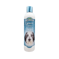 GROOM AND FRESH CONDITIONING SHAMPOO