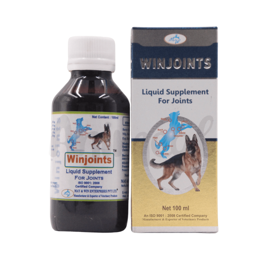 WINJOINT SYRUP 100ML