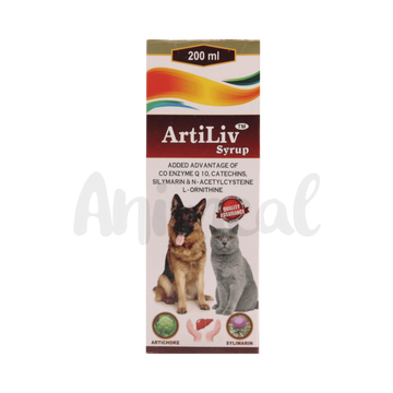 ARTILIV SYRUP 200ML