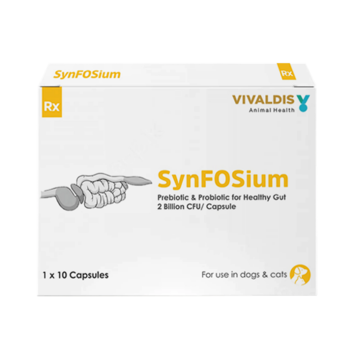 SYNFOSIUM CAPSULE - Animeal