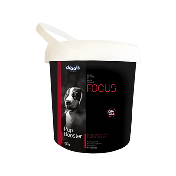 FOCUS PUP BOOSTER 300GM