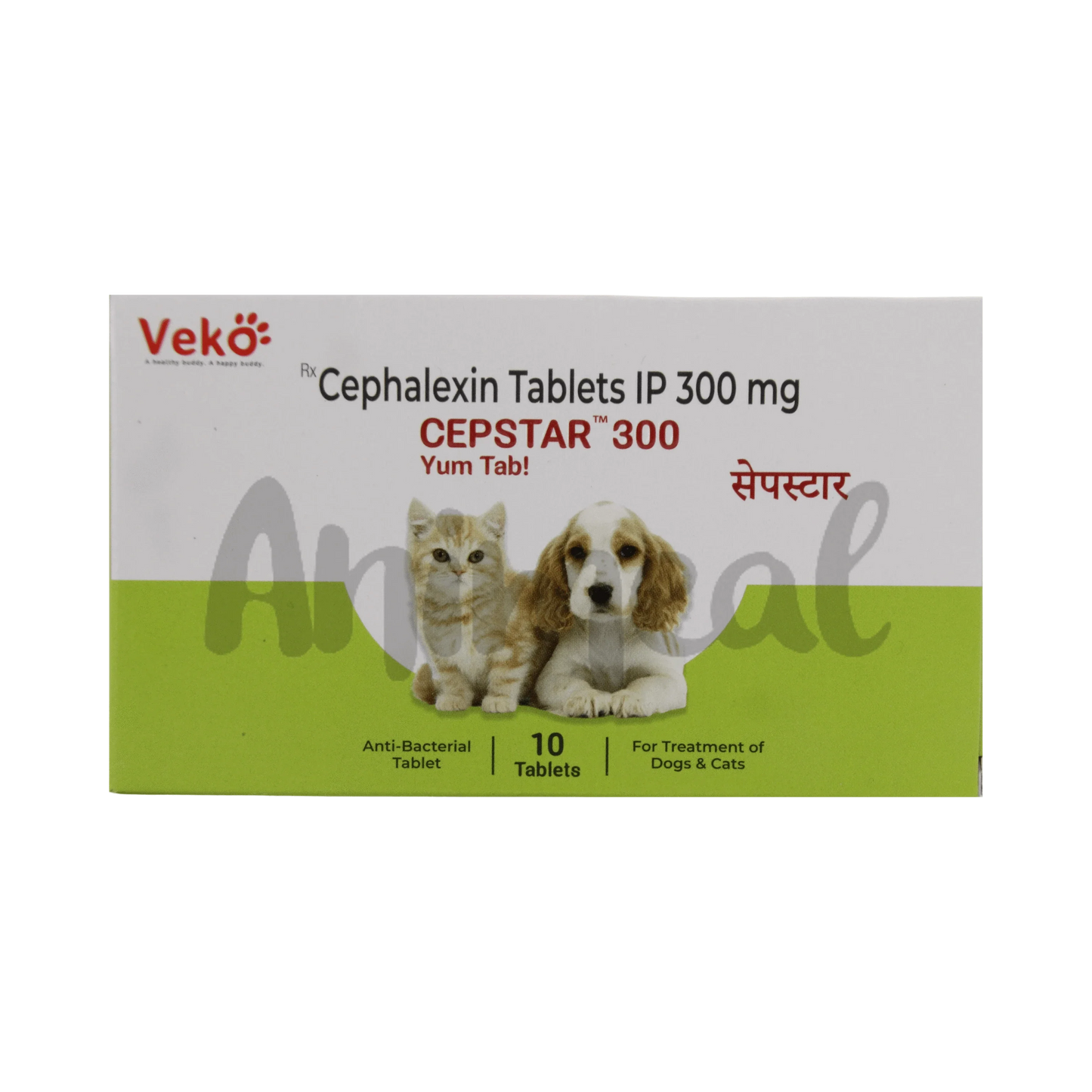 CEPSTAR 300MG TABLET3 - Animeal