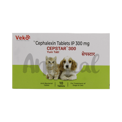 CEPSTAR 300MG TABLET3 - Animeal