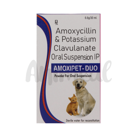 AMOXIPET-DUO PET SYRUP - Animeal