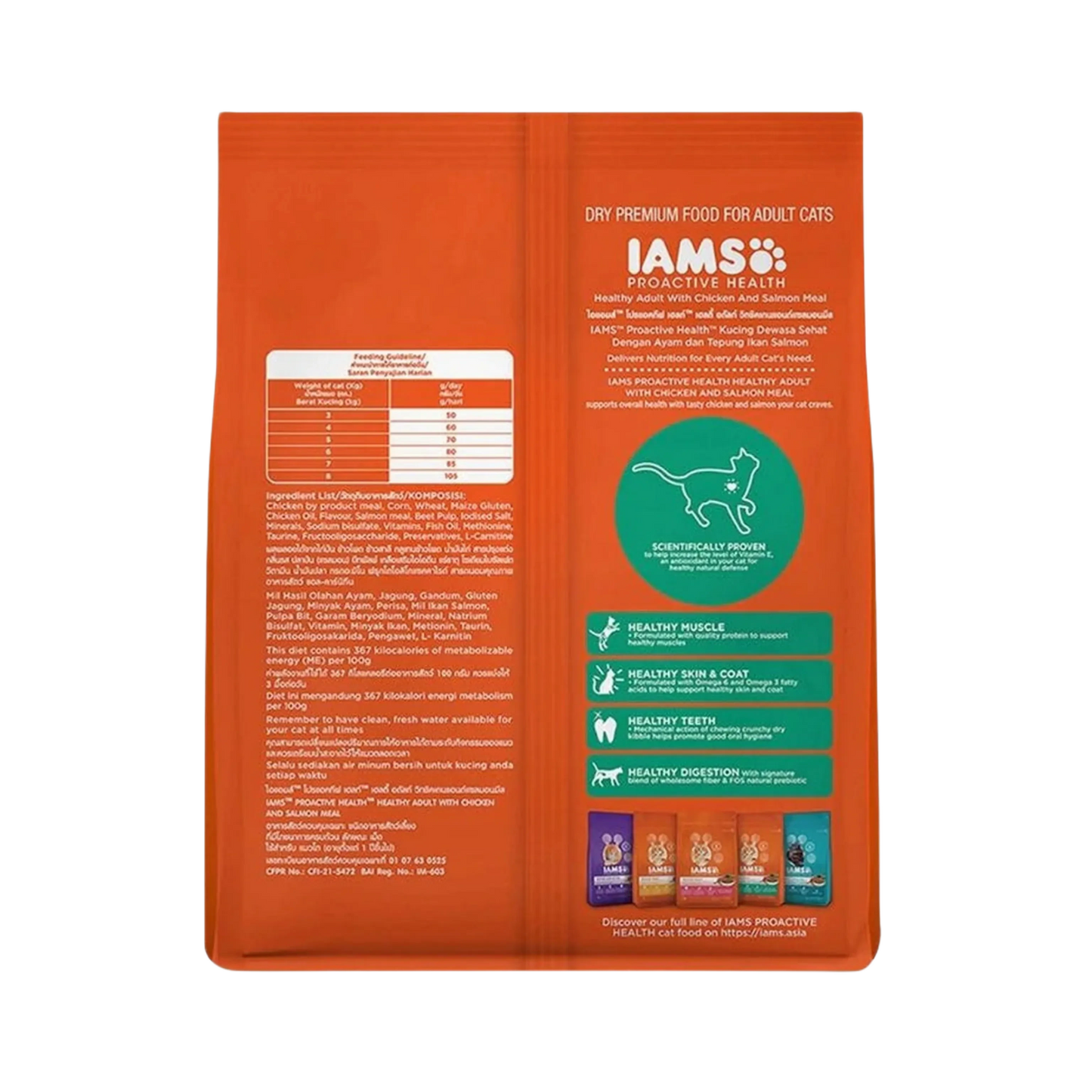 IAMS CAT CHIC & SALMON DRY FOOD (M) 1KG