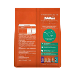 IAMS CAT CHIC & SALMON DRY FOOD (M) 1KG