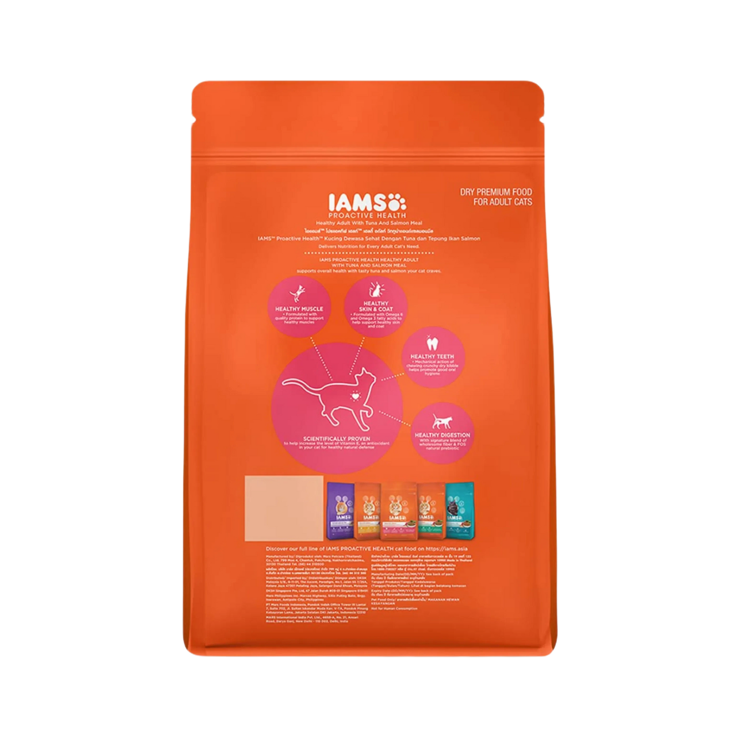 IAMS CAT TUNA & SALMON DRY FOOD (XS) 100GM