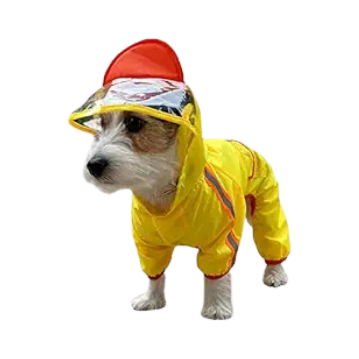 FOFOS PET RAINCOAT-DUCK (L) 40CM