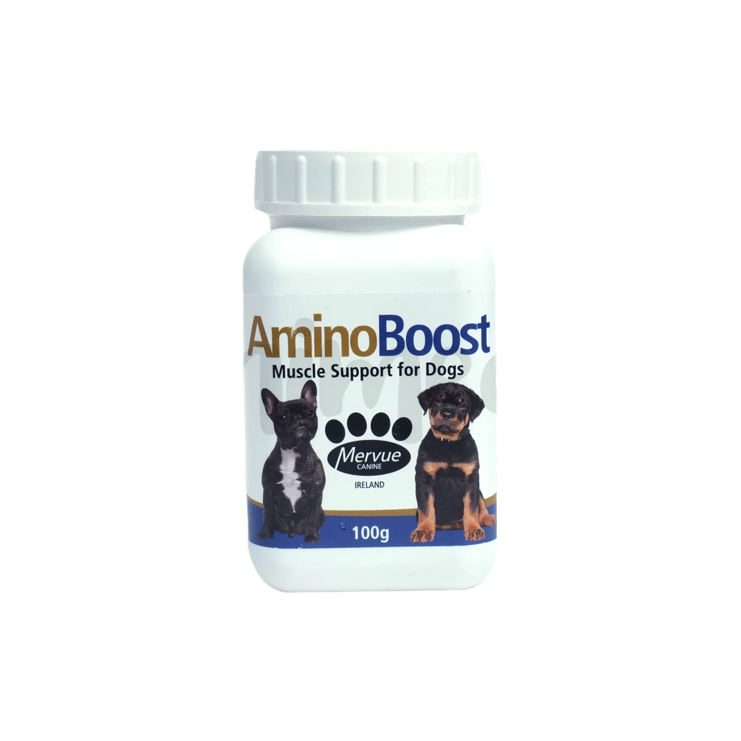 AMINO BOOST POWDER (L) 700GM