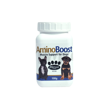 AMINO BOOST POWDER (L) 700GM