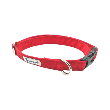 PG COLLAR DOG BRUCE L LARGE