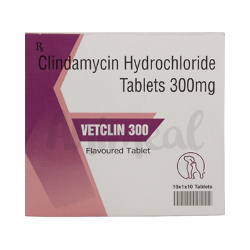 VETCLIN 300MG TABLET - Animeal