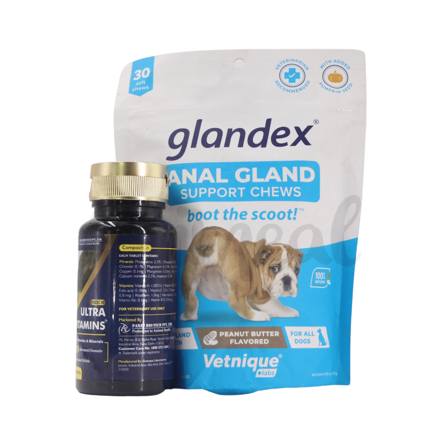 GLANDEX CHEWS TABLET (L) 60TAB