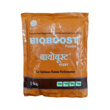 BIOBOOST POWDER (S) 20GM