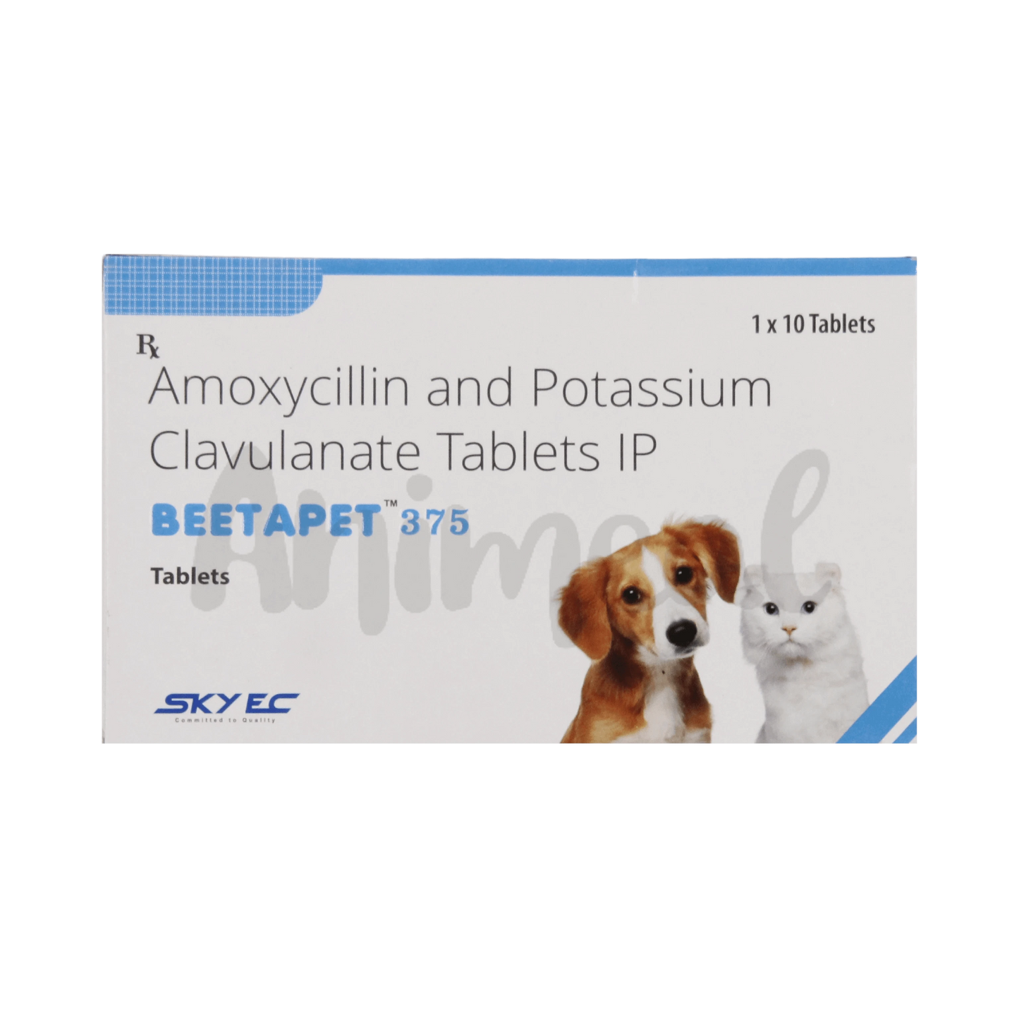 BEETAPET 375MG TABLET - Animeal