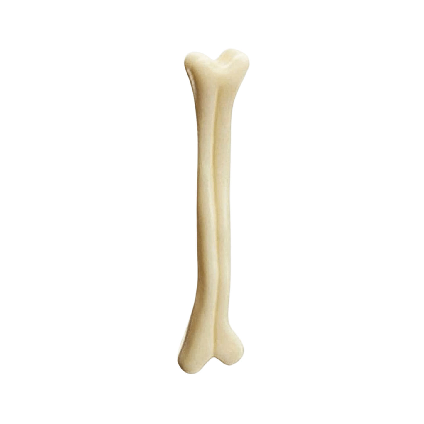 PP LEZA NYLON BONE (S) - Animeal