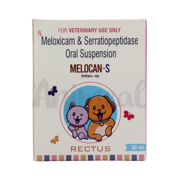 MELOCAN-S SYRUP 30ML