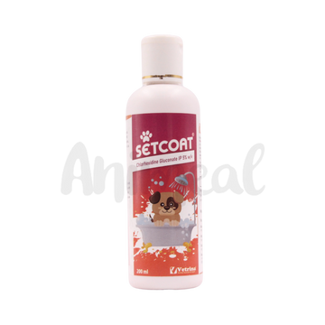 SETCOAT CHG 5% SHAMPOO 200ML