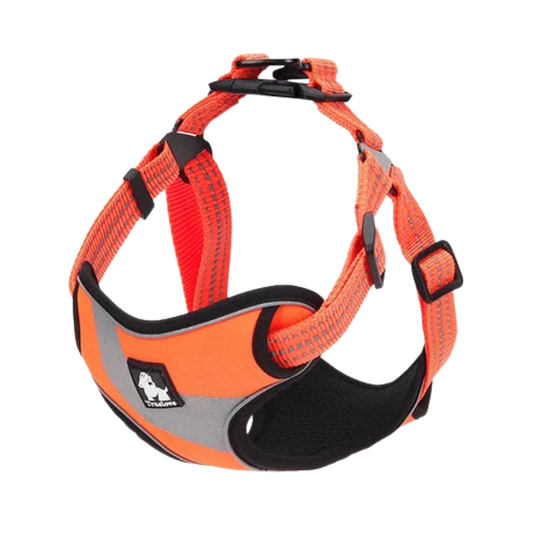 TRUELOVE STEP IN HARNESS WITH 3M ORANGE (L) LARGE