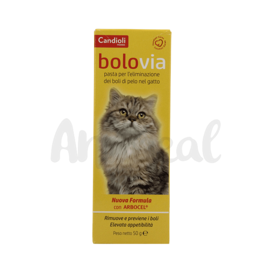 BOLO VIA CAT PASTE - Animeal